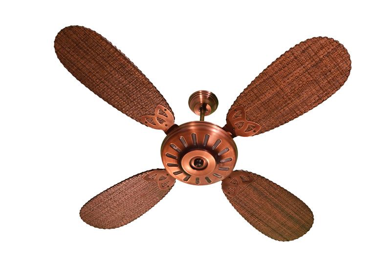 VT Max 5519 Ratán